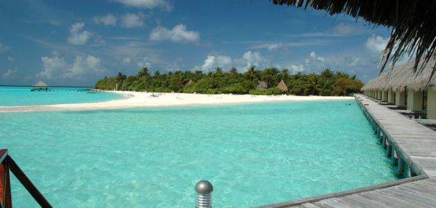 السعودية تتأجر احدى جزر المالديف